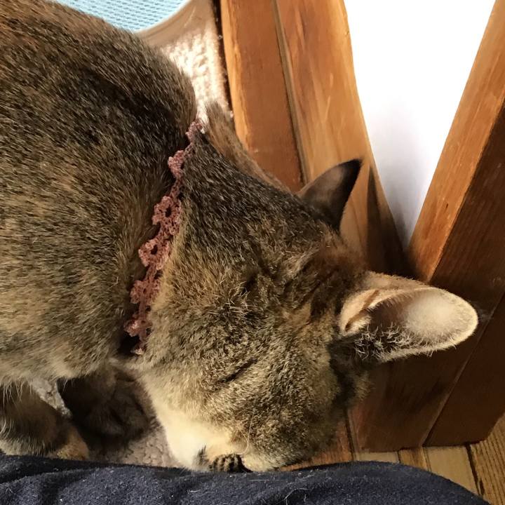 66042766 c02f 4fd5 81c3 9edf75bac30f 1579751818742