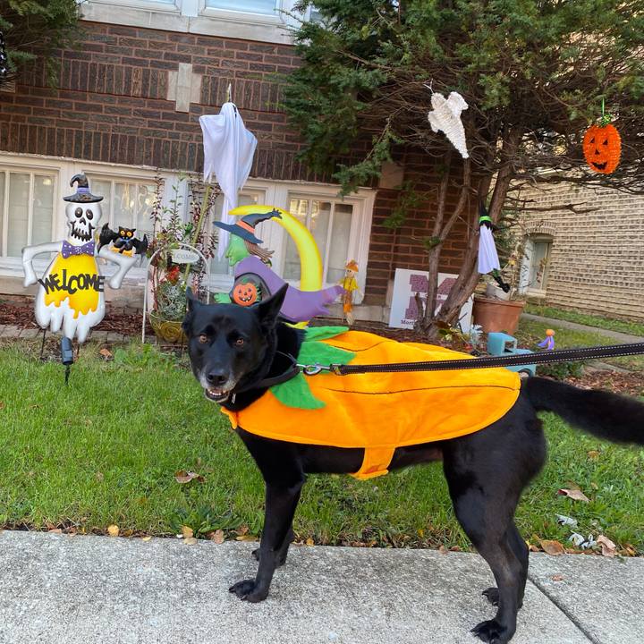 66044bf5 b40d 4a63 b859 3a82dbe1121f 1635692636699