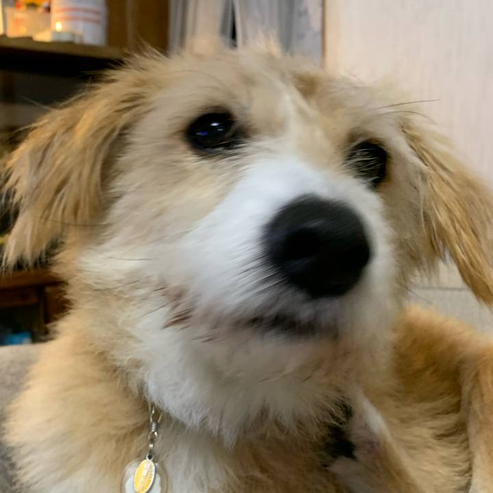 66048b60 2938 4e12 9f1a 1ebb36c56275 1576069985883