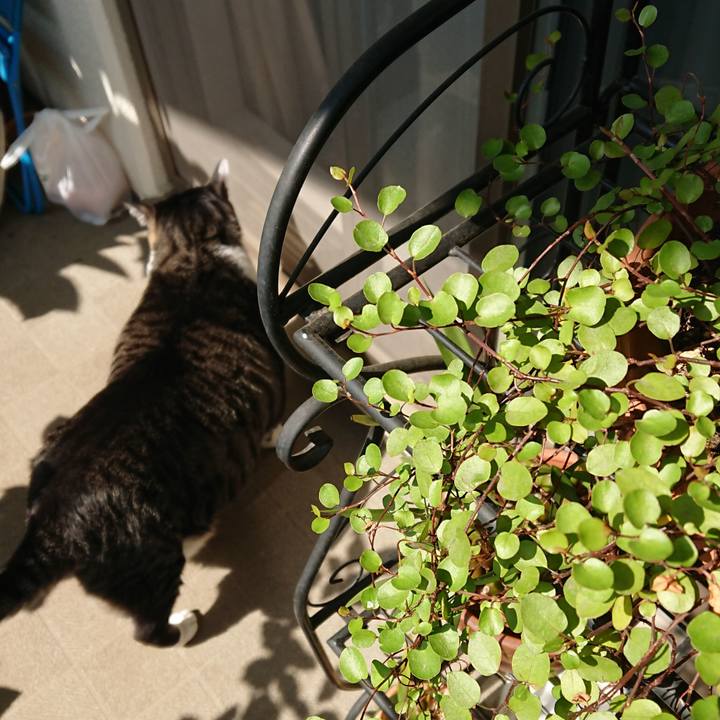 6604ba3a 08ba 44fe 8792 225e8d3b0430 1524356027236