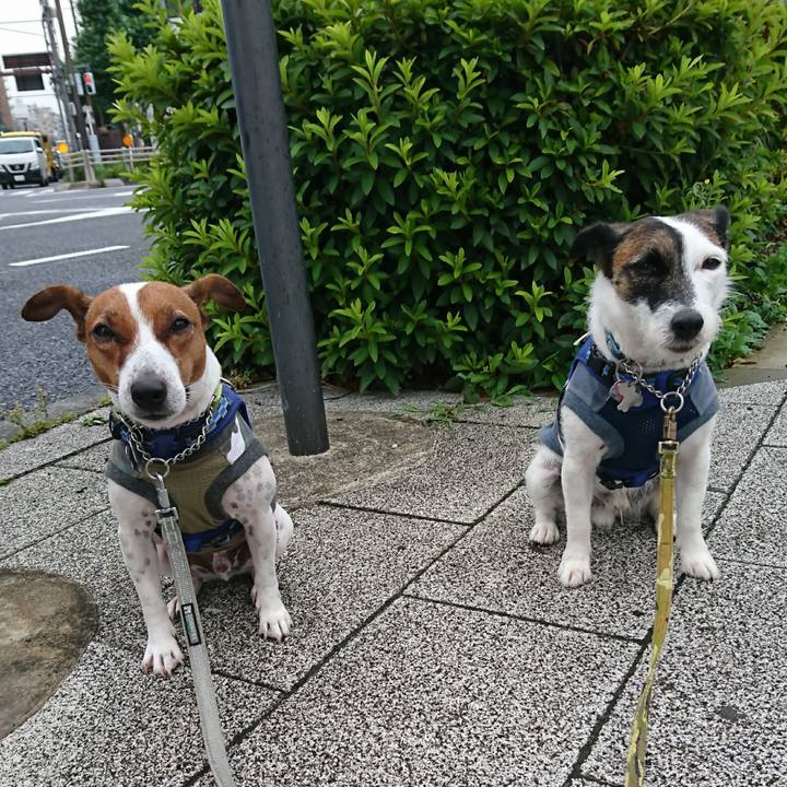 6604bfa5 3d27 4f8b 8dc7 b6f8a7deaede 1592779630093