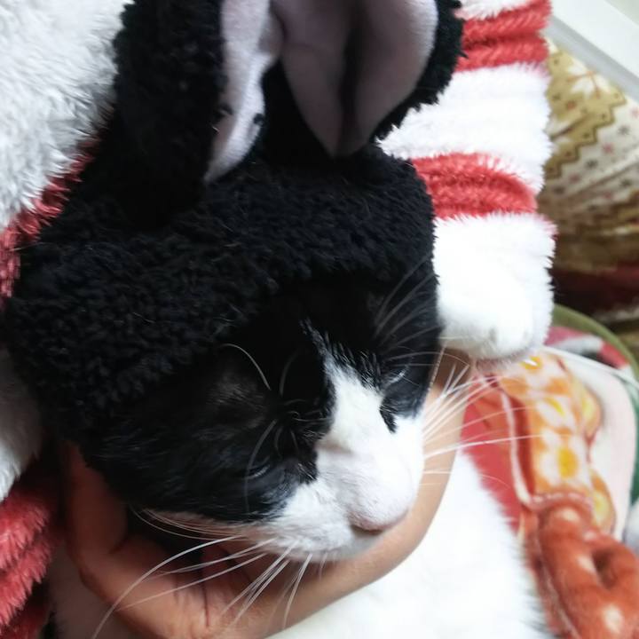 6604e446 c956 4382 90db 32eb9e7f1794 1572876336816