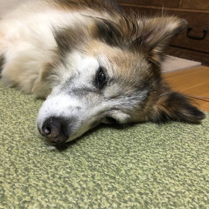 6604ecaf 18a2 4717 b1b4 4bbc1dc59a78 1515418160400