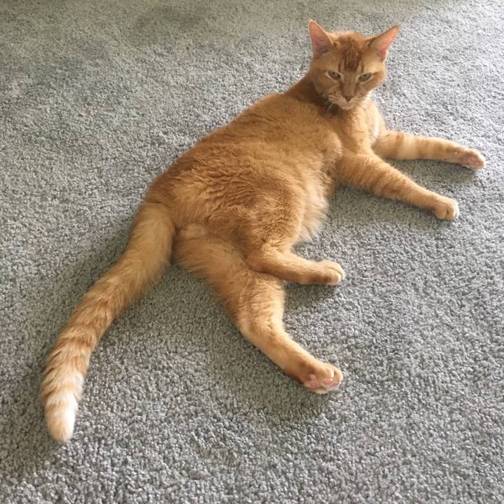 6604f6c6 6a12 4e64 80c9 865ba963ceb0 1654647205513