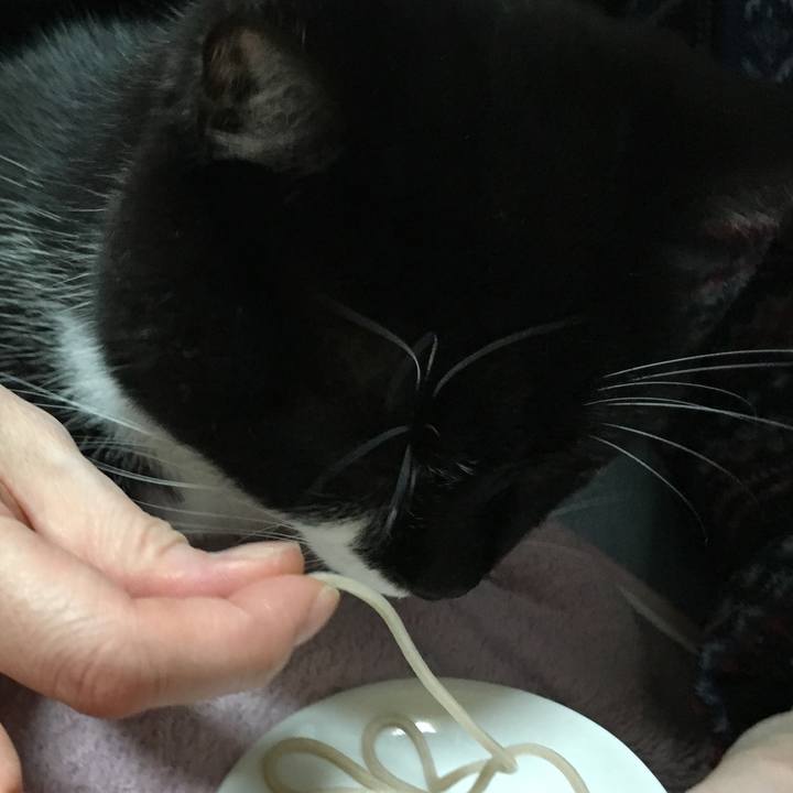 66052b7d 0518 4e93 8fae 2bd07adcb8bb 1577802948026