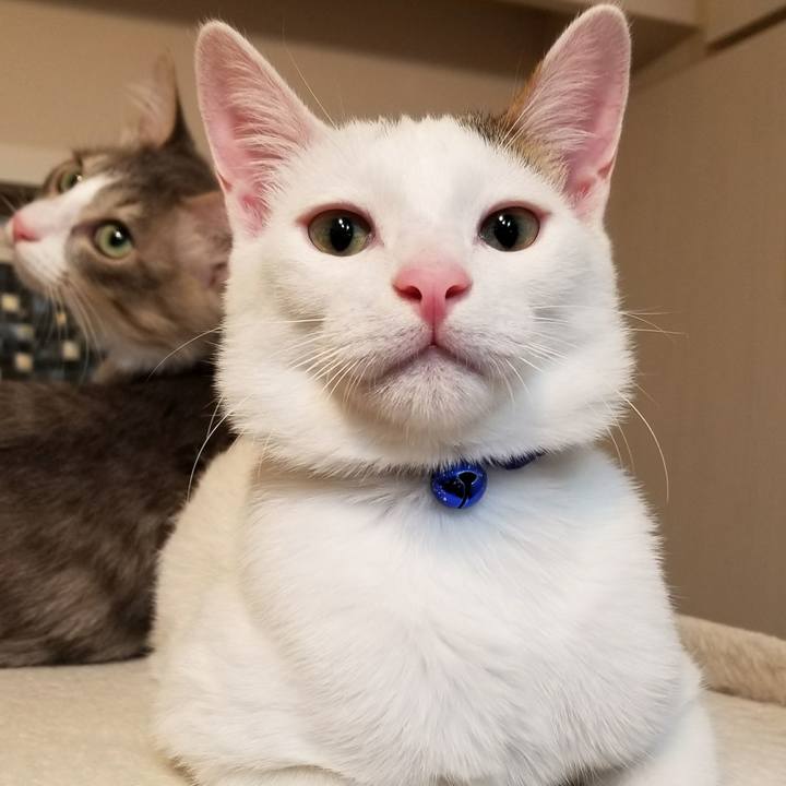 66055c93 56b6 4a5f 8427 d651cd5ffa8e 1512358912909