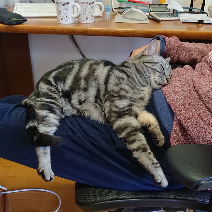 6605648e 8548 4438 80e2 4c044ef3ddd2 1552352842844