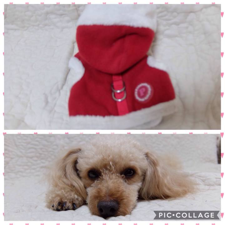 6605a373 f995 466f aa9e 6fe67948f96a 1558231203659