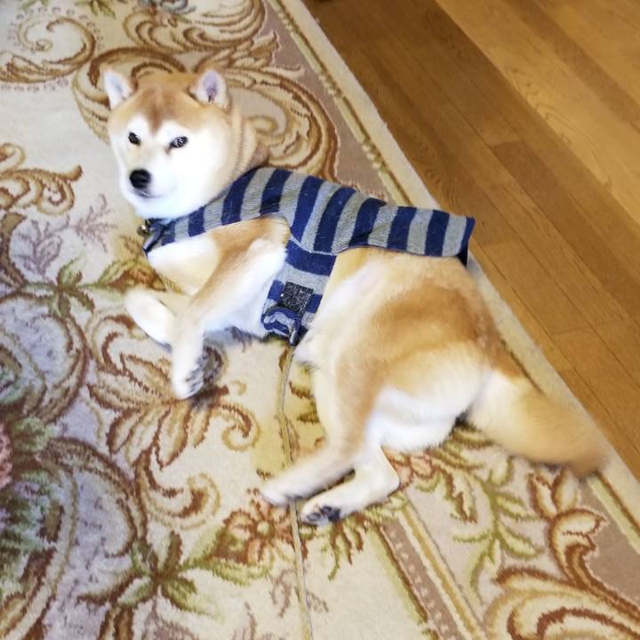 6605ae16 64af 4258 85ba e2f8de3cd5a5 1578530640636