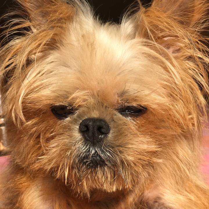 6605ed61 0e14 408f aac7 2db36d54f3d2 1572398837499