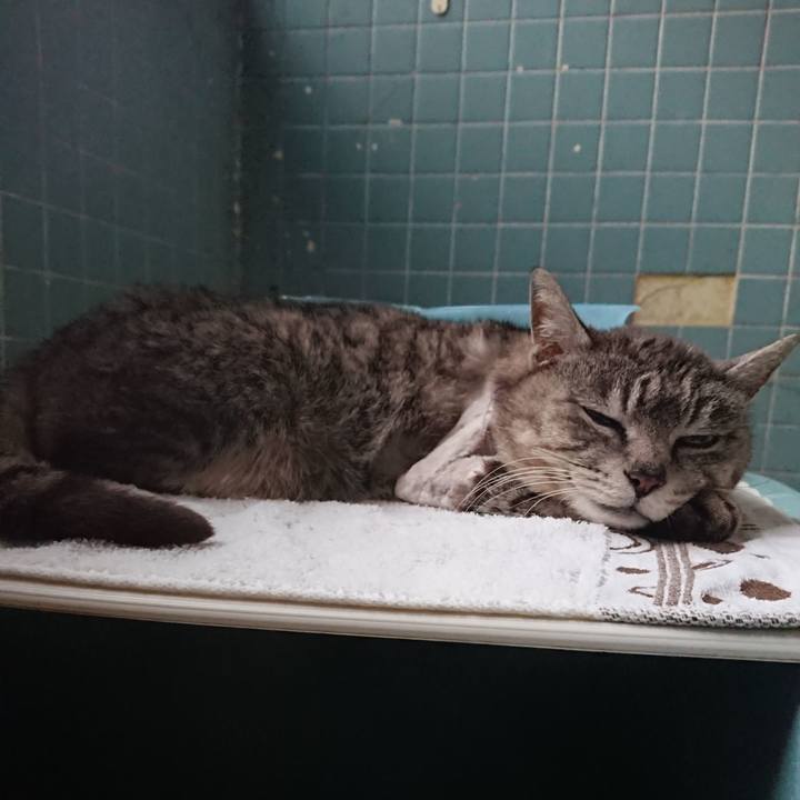 6606066e 3d6d 4907 a225 2f2ee3b3d5dc 1587891876824