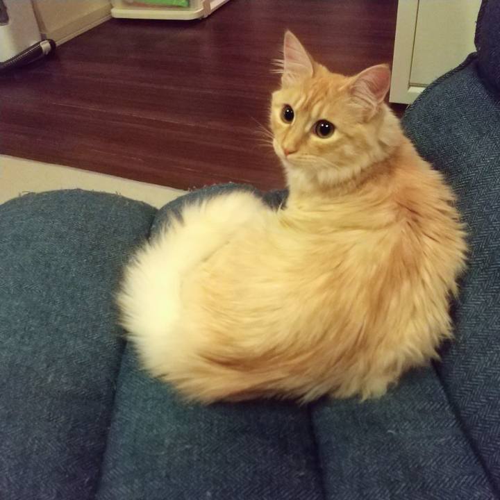 660607ef b27f 4434 9d69 bc4a9d334bed 1619013623841