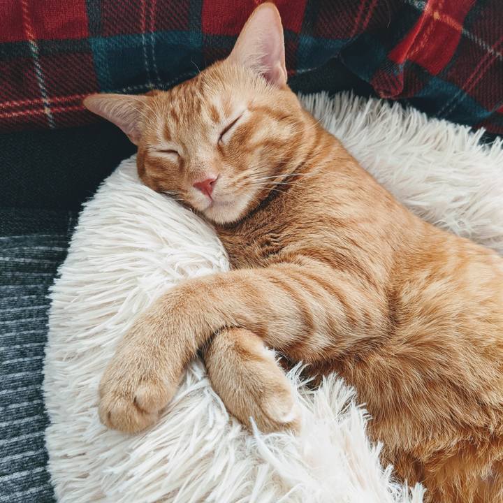 66065acf d93f 42b4 999a 9a9b4faee7c8 1632473481074