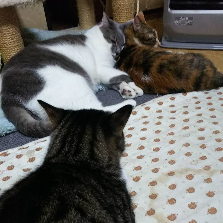 66066134 28d8 4112 b691 469389e114c5 1543687868918