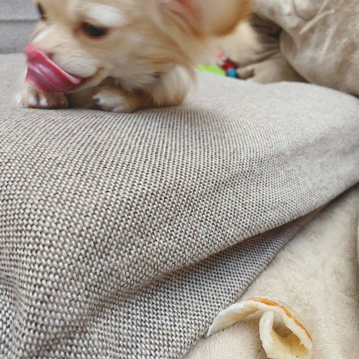 66067c9d b254 42b0 b76c 538a9390da91 1617780966615