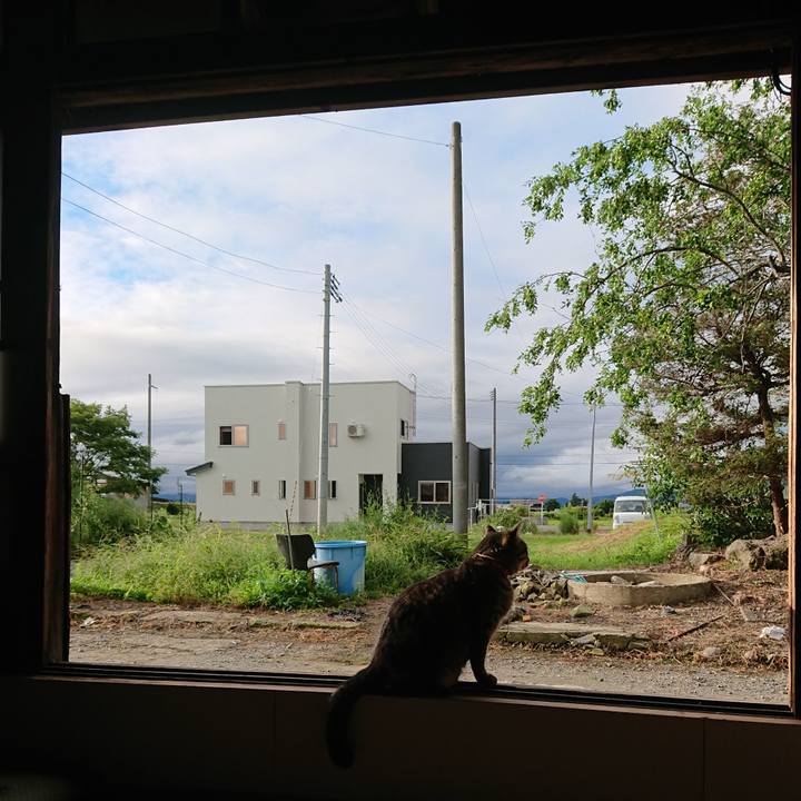 66068232 105b 4cfa 9e27 1fde515d7786 1662499943292