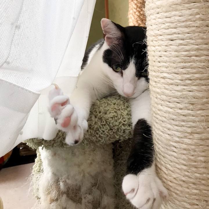 6606893d 3c6d 4bda bf90 5672880c82d2 1533775413918