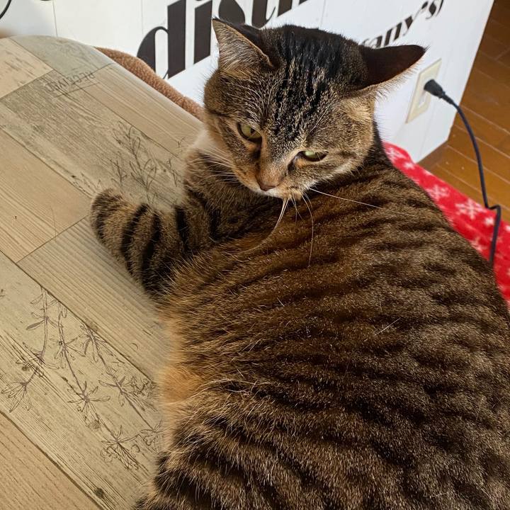 66069cb4 407b 465c b132 de8f0a4c8c0f 1580521010038