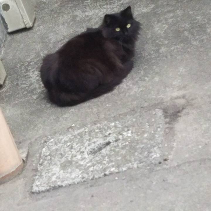 6606cb1a 371e 4b42 b269 1a3fc62afb1a 1528162938013