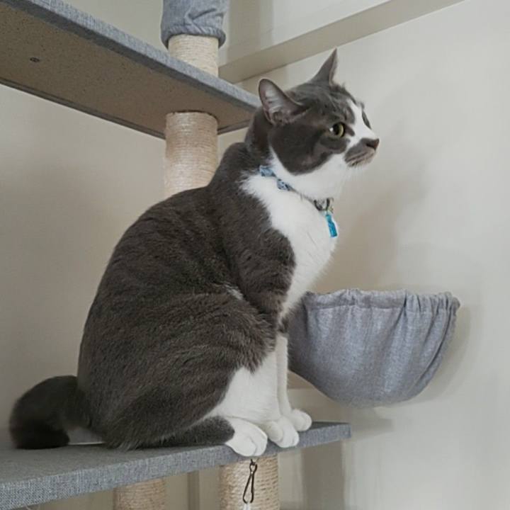 660716b1 aca9 4a4d 9891 73b1263f591a 1681429230994