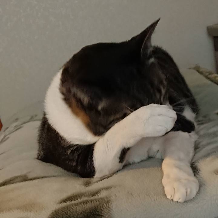 660726ca 5287 4e17 b82b 9820ba719303 1520570797025