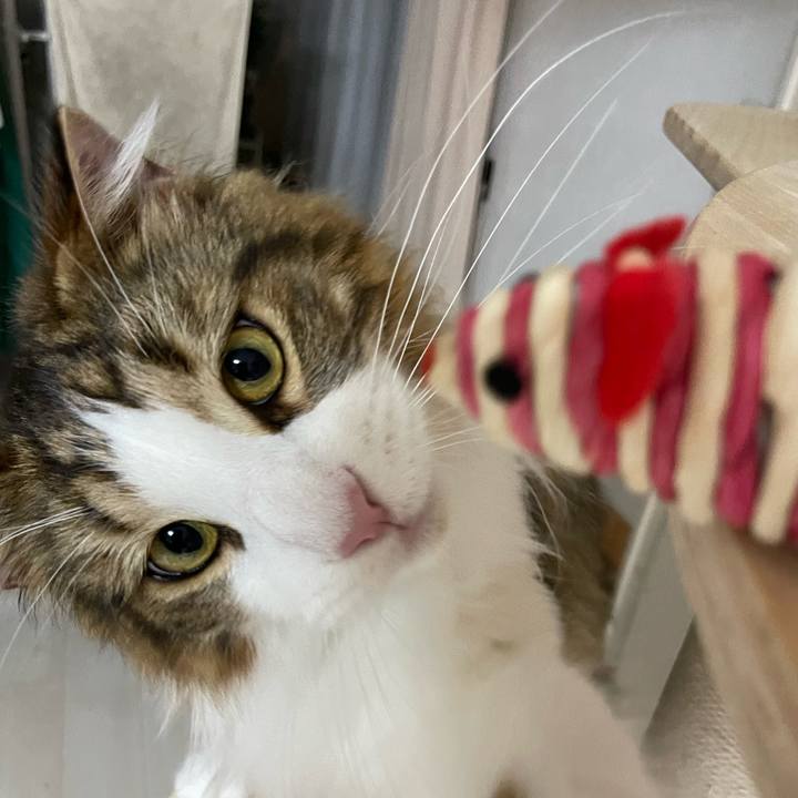 66074bb3 02a6 407c b155 f3a0f7e4362c 1656453912931