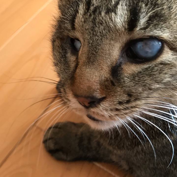 66079b77 497c 4cd1 91dd 6a97a6151d06 1550129390982