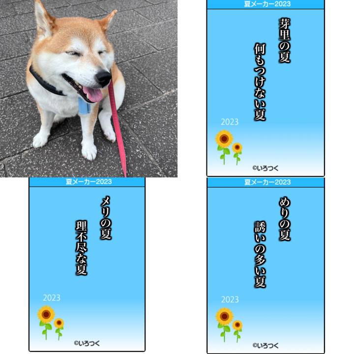 6607a95b e244 45fb bb54 995607e0e91d 1690019343219