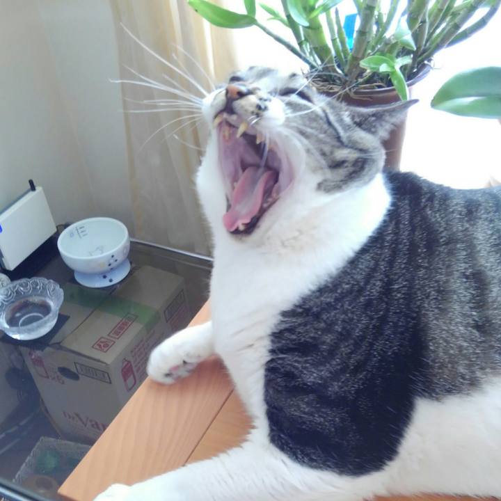 6607e072 adc1 4eee a02f 6517879378fc 1517870090641