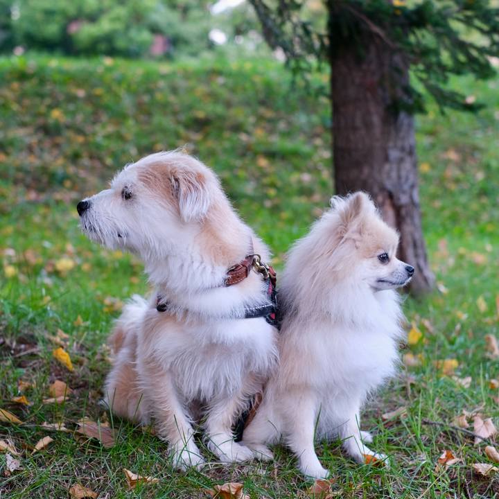 6608555a 0f5d 4efb 841f f604665a6e22 1759182621212