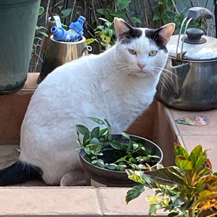 660859e8 bd7a 4156 853a f88b3726e5d8 1605745958838