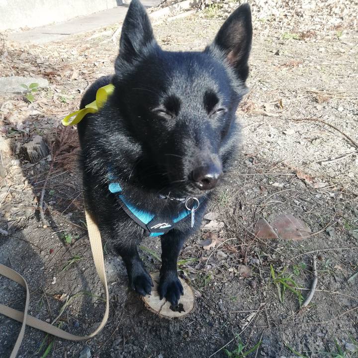 66087935 36e9 4bd3 9113 83ef01e63883 1640996823744