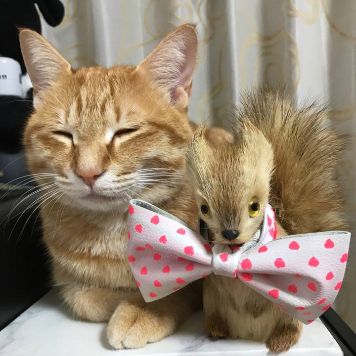 660896d0 06a9 4478 879d 7a2fd813a2e5 1518797696087