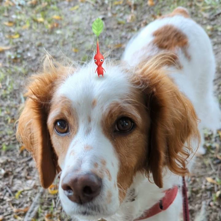 6608b5ef e653 439e 9aa5 8d7a0b490036 1637838677935