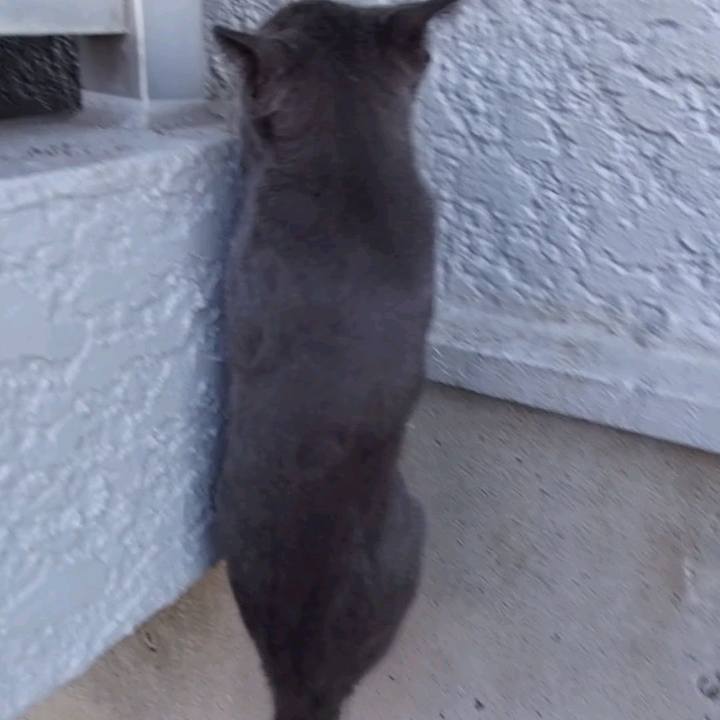 6608bff6 abdd 4d44 b5f9 d8bccba02a0f 1628065484919