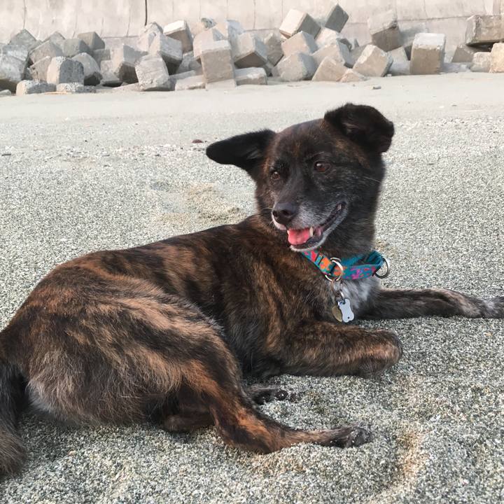 66090fa6 a91b 4a87 9fd0 531c3e035c86 1534891109213