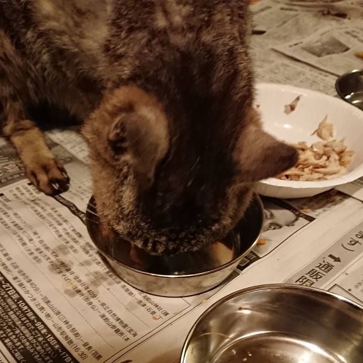 66093238 c522 4193 99ae f6969ccf44ab 1598615809995