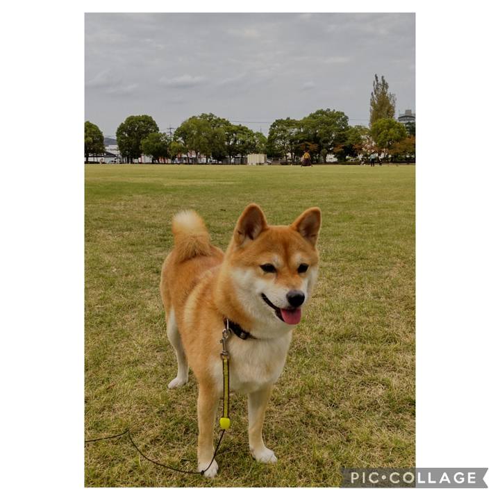 6609459d 95aa 4755 a522 bb80dba6c222 1697265345664