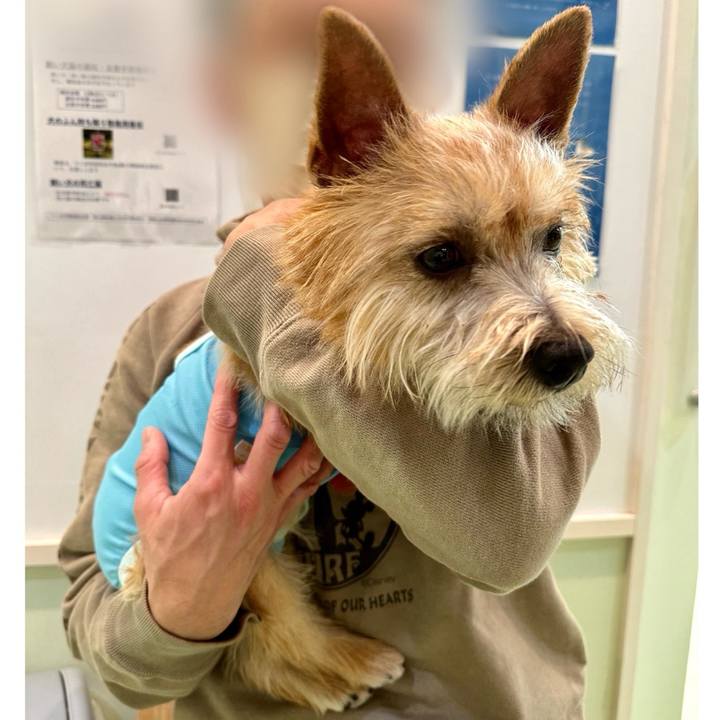 660956f1 b5b4 476a 89a2 1d2535c6c0a7 1711191330447