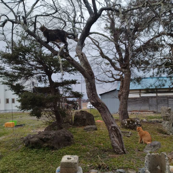 66096b18 3530 4b56 9c96 605c401d235b 1712220056332