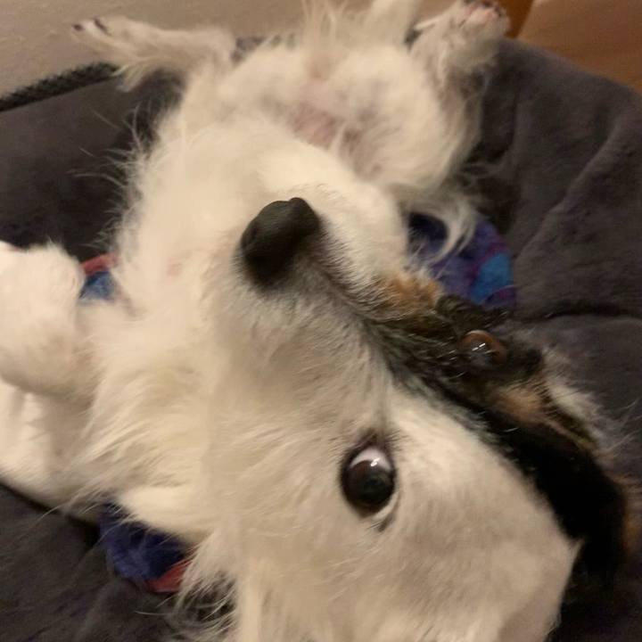 66096f6a 6a51 4255 af91 6cb753d252c7 1649163114816