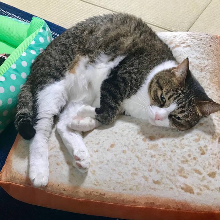 660974fd 2598 478b 9297 50dea76d5411 1531973931907