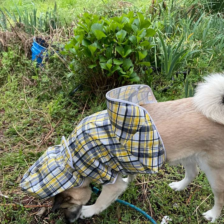 66097c53 544a 45e1 a43f 082e6b8adb0d 1680698914706