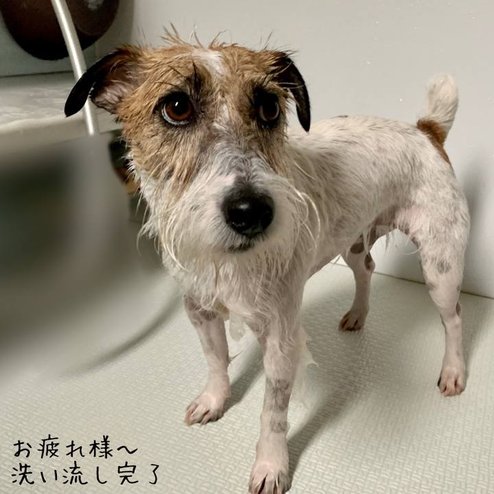 6609aea9 a366 42ce ba68 e61a16ac85f1 1681622390404