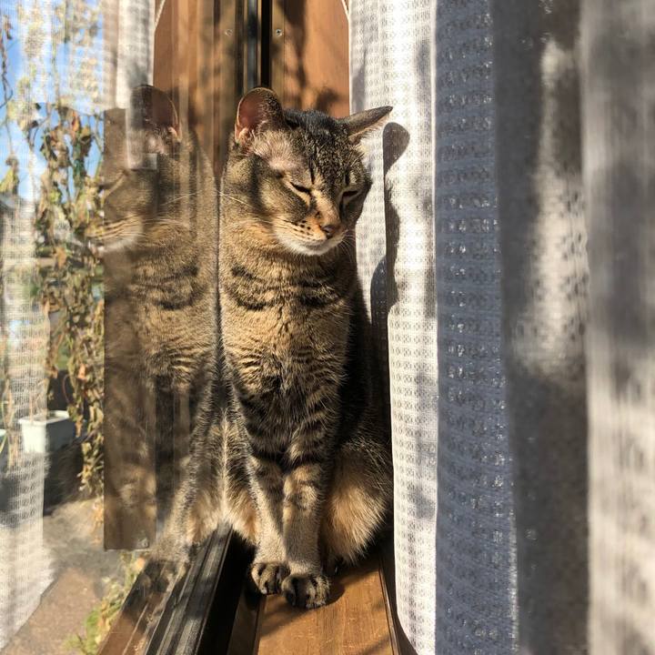 6609d64d 3bdb 4f29 8704 9acaf95c5334 1605589380449