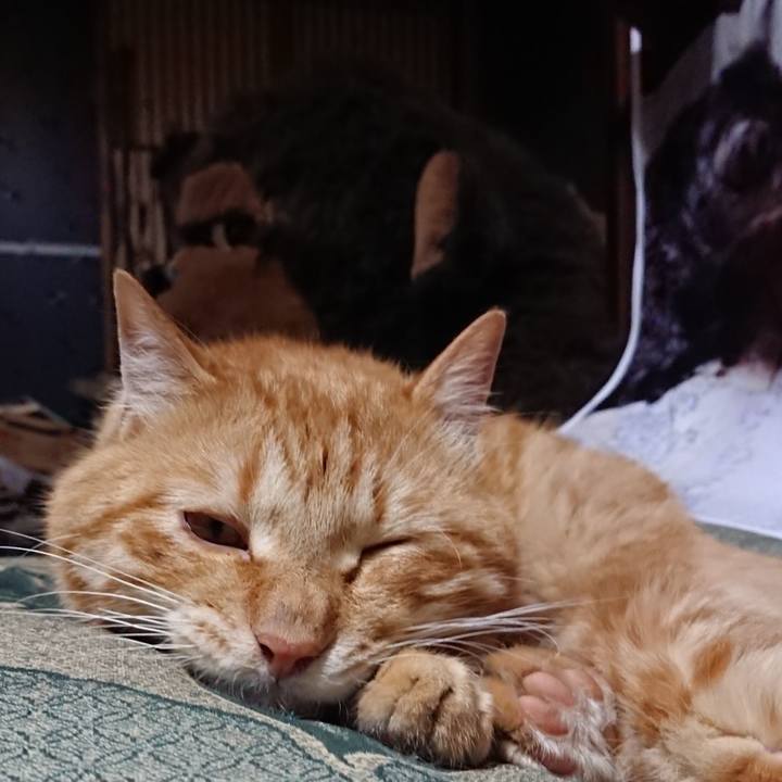 6609fe8f 8598 4ce9 a5b3 cdb344d106ca 1656854126335