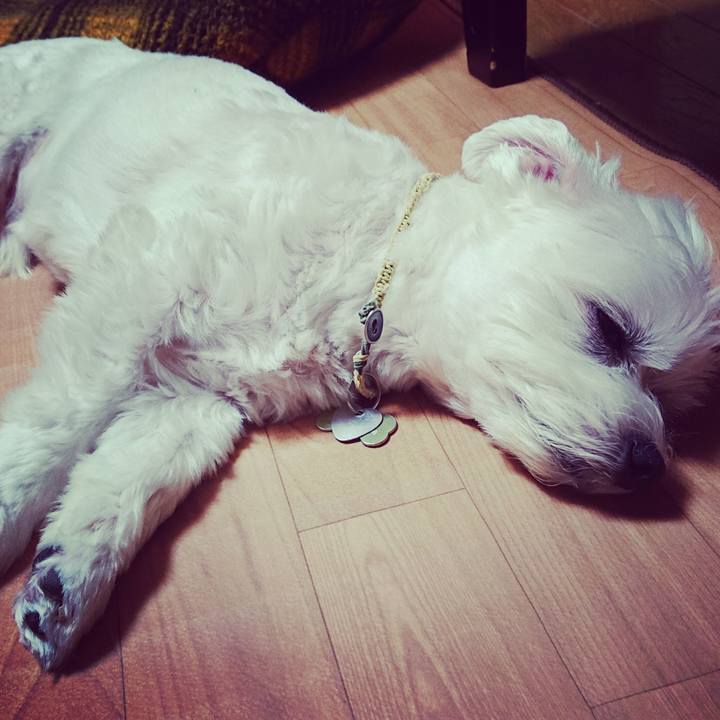 660a3f52 bb8f 40ad a5b7 86bd193e0b78 1539607432722