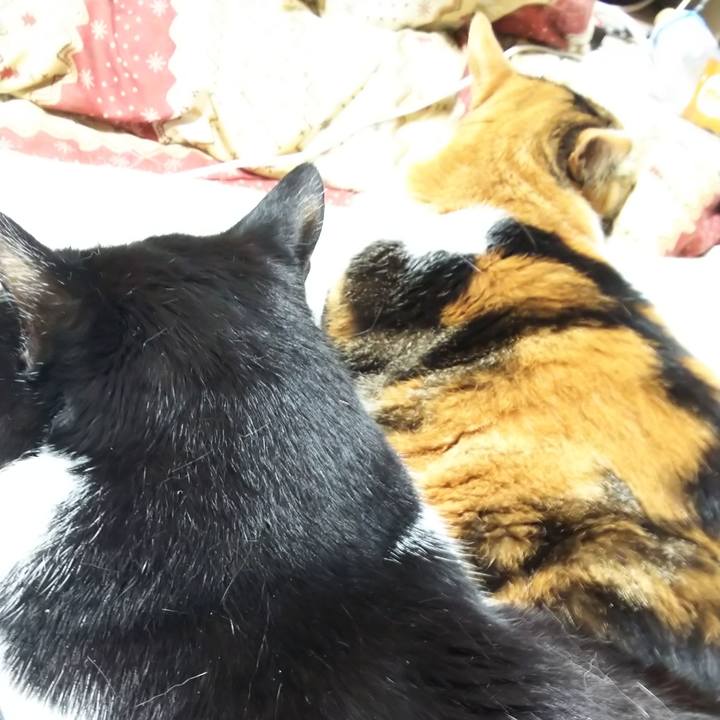 660a4a8a bc64 42dc 9d94 8a8544ca5d5a 1560166233729