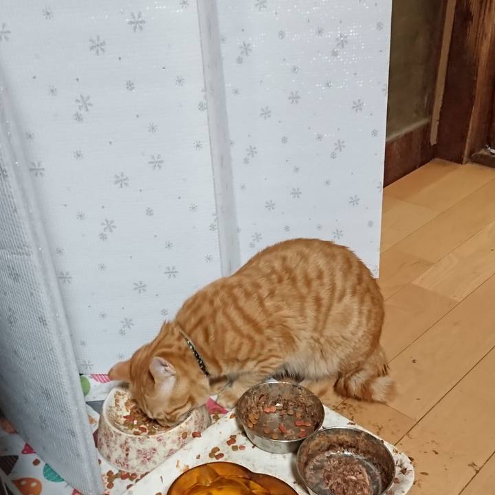 660a7aa2 9671 49f4 aa40 3d7900567c51 1646479524803