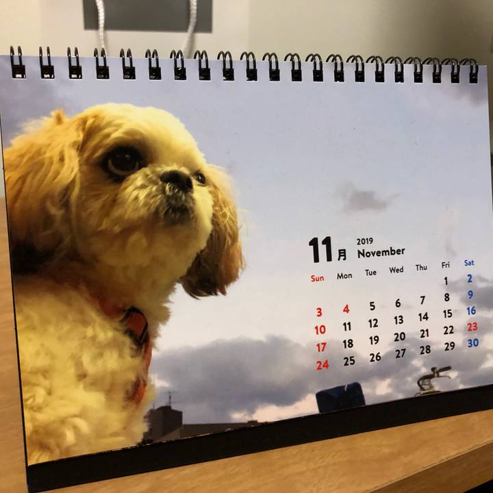 660aae48 bfc3 478b a407 6ae5b6731262 1574977910903